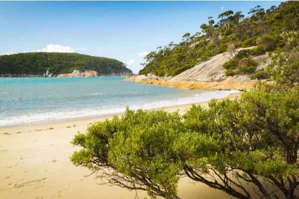 Australia's Best Beaches Refuge Cove