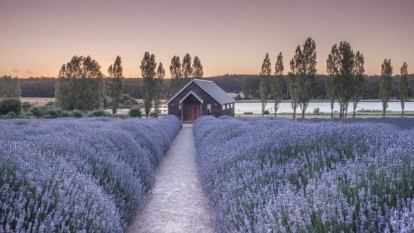 Daylesford